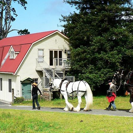 The Carriage House-Bay Of Islands Villa Kerikeri Bagian luar foto