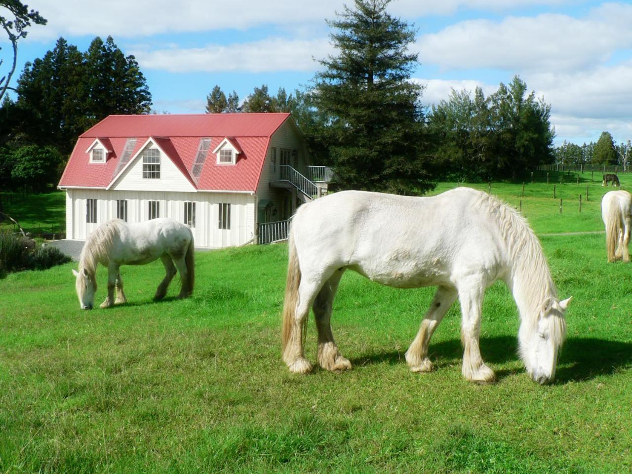 The Carriage House-Bay Of Islands Villa Kerikeri Bagian luar foto